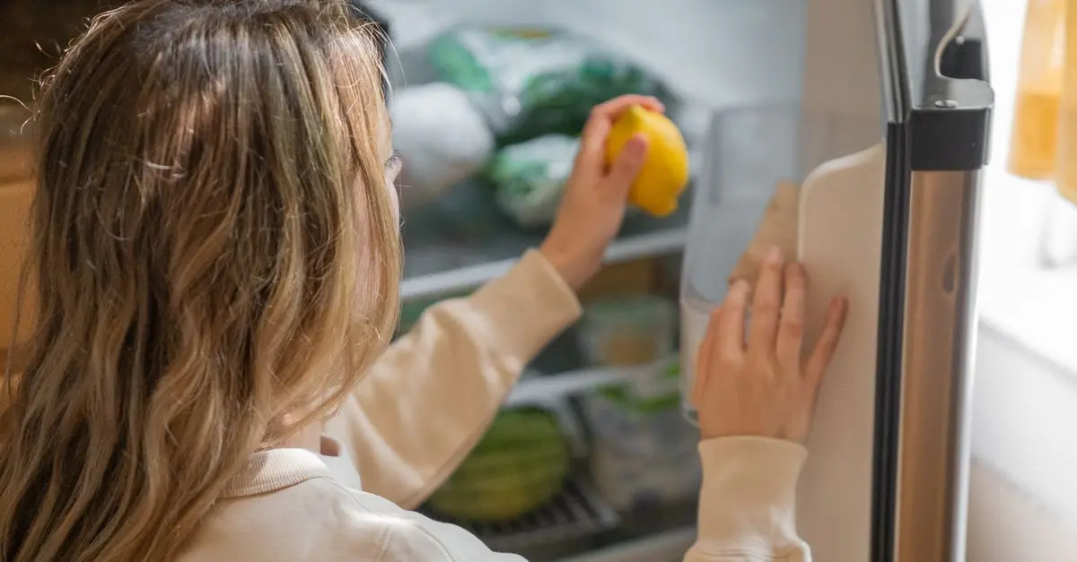 Come Funziona un Frigorifero: Tutto Quello che Devi Sapere