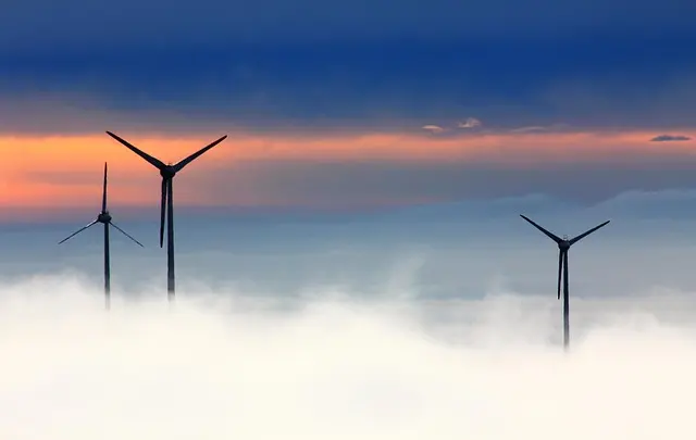 Come Scegliere gli Elettrodomestici Eco-Sostenibili