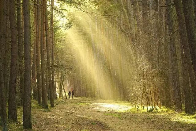 Come Scegliere il Miglior Climatizzatore per il Tuo Spazio