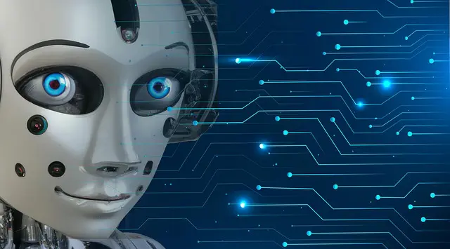 Come Scegliere il Miglior Robot da Cucina per le Tue Esigenze