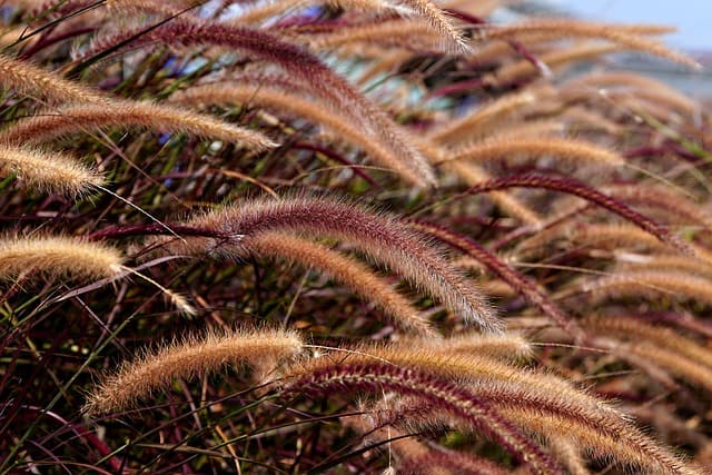 I migliori frigoriferi ecologici: guida all'acquisto